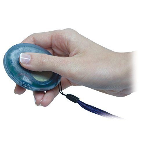 Digital Talking Compass - English-French Speaking