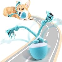 Pipihome Interaktives Hundespielzeug Ball, Hundespielzeug Intelligenz, Hundeball Elektrisch Automatisch Rollender mit LED-Lichtern, Interaktiver Spielball für Welpen Kleine/Mittlere/Große Hunde