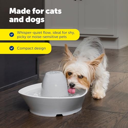 Image of PetSafe Ceramic Pet Fountain with 4-Pack of Carbon Filters for Cats and Small Dogs 60 Oz Water Capacity Whisper-Quiet Water Flow Great for Shy or Timid Pets Fresh, Filtered Water