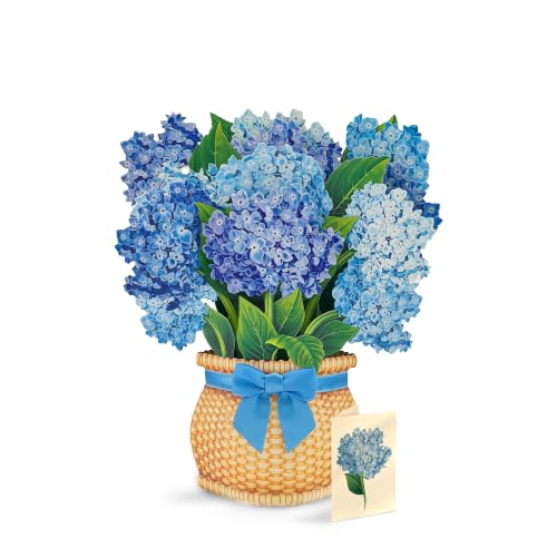 Freshcut Paper Nantucket Hydrangeas...