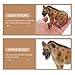 ibasenice 4pcs Hyena Model Toy for Kids Realistic Plastic Hyena Figurine 4.33In Wildlife Animal Cognitive Toy Educational Collectible for Home Desk and Miniature Garden Decor