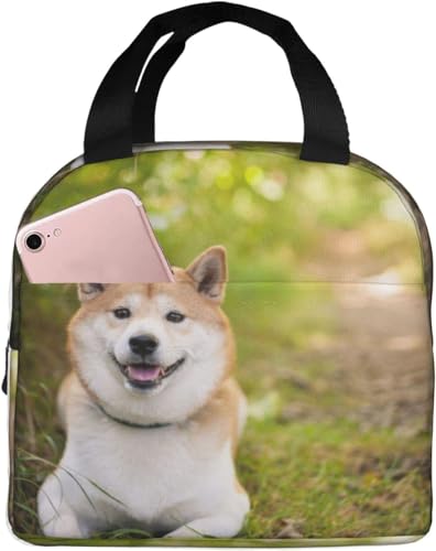 Č  G 킢 ۗ ܌ `obO ubN ٓ ۗobO t@Xi[t RpNg ٓ \tgN[[obO g[gEGRobO v[g V154