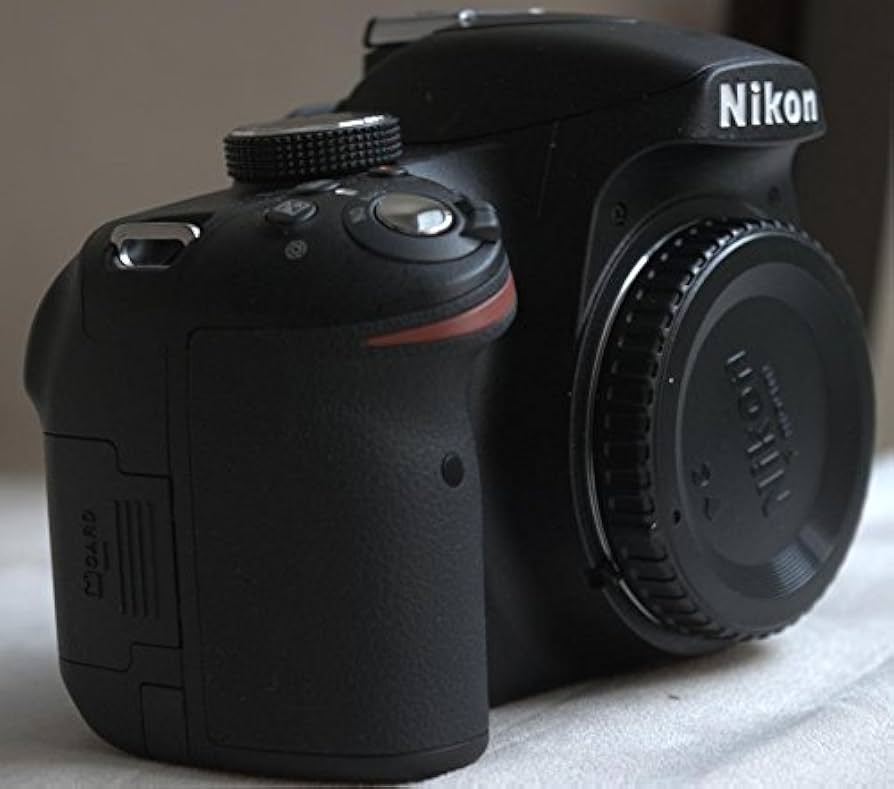 Amazon.com : Nikon D3200 24.2 Megapixel HD Video,Wi-Fi