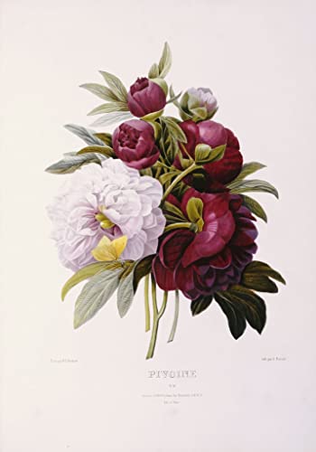 Impression d'affiches sur toile 60x90cm pour habiller un mur vide avec un portrait floral