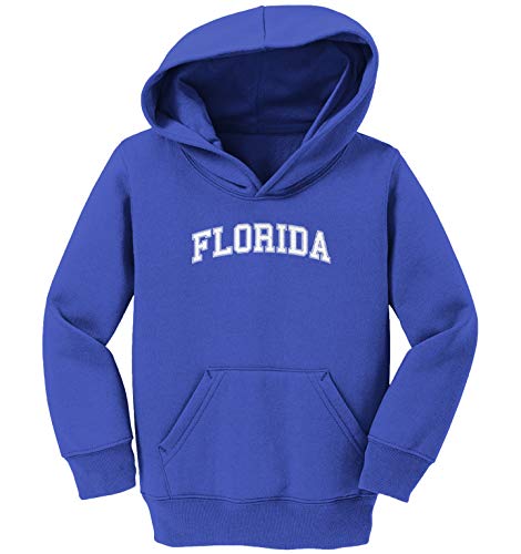 Haase Unlimited Florida - State Proud Strong Pride Toddler/Youth Fleece Hoodie