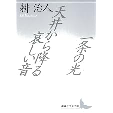 一条の光・天井から降る哀しい音 (講談社文芸文庫)の表紙
