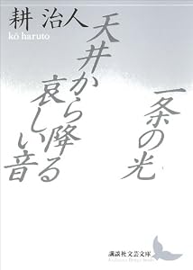 一条の光・天井から降る哀しい音 (講談社文芸文庫)