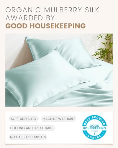 THXSILK Set of 2 100% Mulberry Silk Pillowcase for Hair and Skin Health, Soft Breathable and Smooth Pillowcases with Hidden Zipper, Both Sides Premium Grade 6A+ Silk, Standard 20"x26", Light Blue