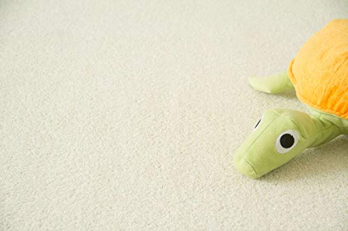 Steffensmeier Teppichboden Cambridge Young Meterware | Auslegware für Kinderzimmer Wohnzimmer...