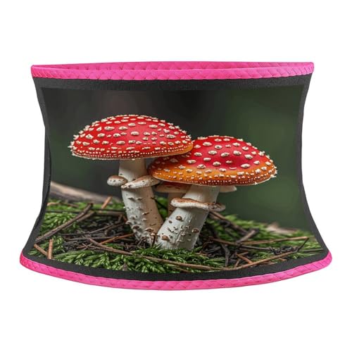 Faja reductora con estampado Red Cap Mushrooms miniatura 1