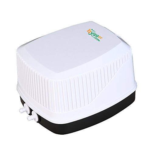 7 Best Quiet Aquarium Air Pumps In 2019 Aqua Movement