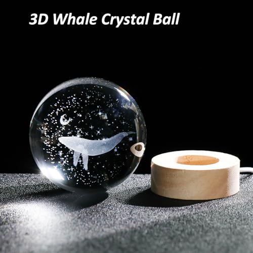 Idée déco originale boule de cristal baleine 3D pour intérieur