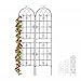 Produktbild Relaxdays Rankgitter Metall, 2er Set, zum Stecken, Rankhilfe für Kletterpflanzen, 220 x 50 cm, Spalier Garten, schwarz, 10030852_1246