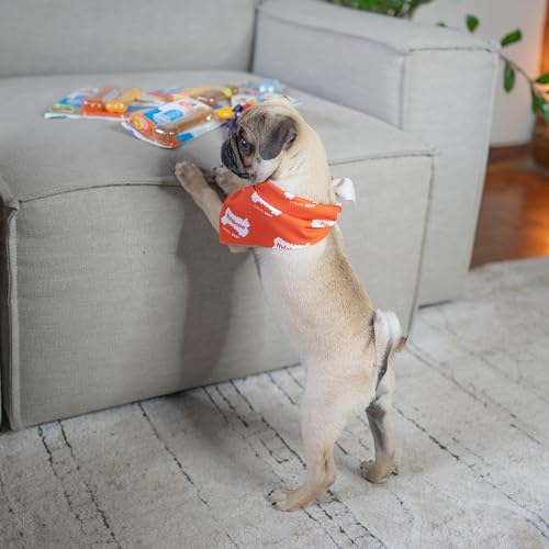 Nylabone Puppy Chew Teething Bone & Original Bone Dog Chew Toys, 2 Count | X-small chew bones for puppies up to 15 lbs, chicken & peanut butter flavor, soothing teething toys for puppies