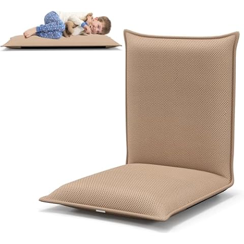 RELAX4LIFE Chaise de Sol Pliable Cover