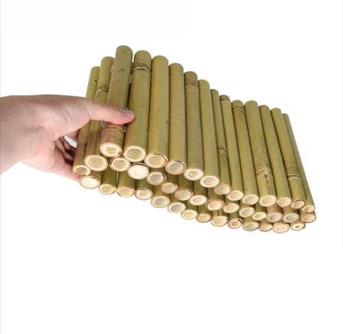 MoremoQQ K[ftFX |  |peBIsPbgtFX ډB O |_ u  AEghA ŐpeBI یK[h ؐ  ybgQ[g GbWO 5TCY (20x150cm)