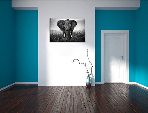 Toile éléphant noir et blanc Pixxprint 120x80 évocation de la nature sauvage - 5