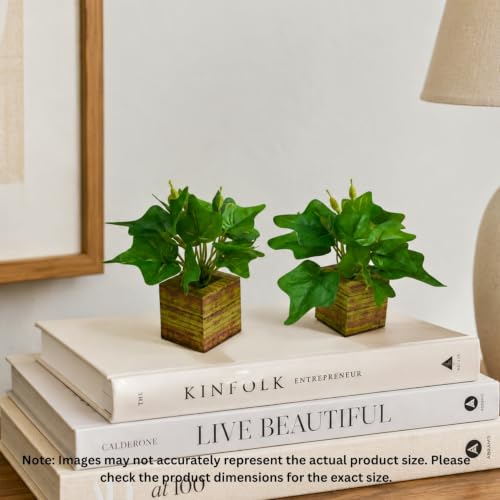 Image of DecoreBugs Artificial Real Touch Flower Plant with Pot (Pack of 2), 16 cm Height, Decorative Faux Floral Plant for Home, Office, Living Room, Bedroom, Table & Shelf Decor