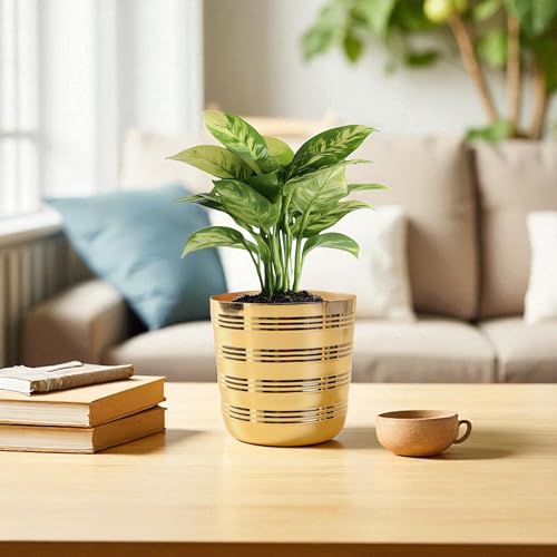 Image of Gold Ribbed Metal Planter Pot Decorative Indoor Flower Planter for Living Room & Tabletop Tabletop Home Decor Gifting (5 inch,Gold)