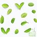 Yerbero - Whole Dried Guava Leaf | 8oz (226g) 80-120 Leaves - 60-70 Cups | (Te Hojas De Guayaba Enteras) | Crafted By Nature | Wildcrafted | All Natural Loose Laves Tea | Non-GMO | Caffeine free.