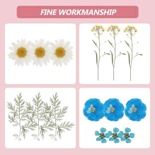 Pack de flores secas prensadas para manualidades miniatura 4