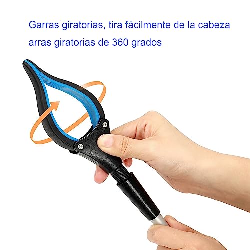 Comparativas de Recogemos que puedes comprar esta semana. 9 Imagen adicional