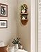 Bamworld Boho Wall Decor Brown Plant Wall Shelf, Mid Century Modern Decor Hanging Plant Shelf, 2-Tier Wooden Floating Shelves for Home, Bathroom Bedroom Living Room, Office Holding Planter Decoration