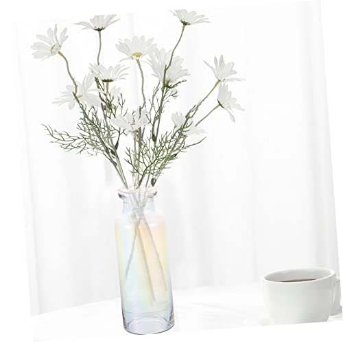 Jarrón de cristal para hidroponía Hemobllo, el obsequio ideal de decoración 8
