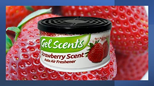 Simoniz - Gel Air Freshener 3 Pack 2.5 Ounces Each - Auto Air Freshener, Eliminates Bad Scents & Odors - Home, Pets, Bathroom, Kitchen, Living Room, Car - Absorbent, Long Lasting Fragrance (Stawberry) #TOP1