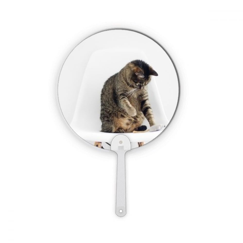 Éventail rond en plastique Animal Funny Action Cat déco artisanale No/No