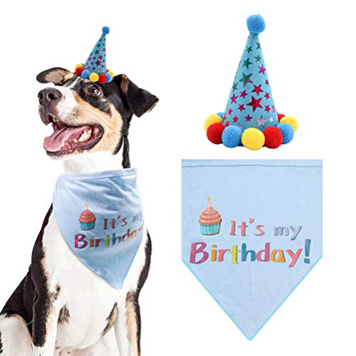 small dog birthday hat
