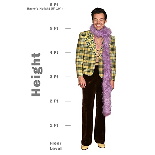 Novelty Native Harry Merch Life Size Cardboard Standee Poster Figure - Creaseless Edition - Gift For Parties, Events, Bedroom Decor, Office #TOP2