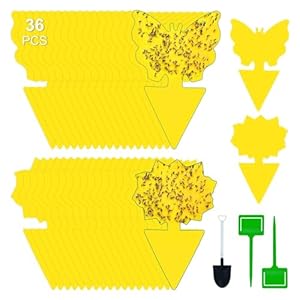 Gelbsticker Trauermücken Bekämpfen 36 Stück Steckbare Fliegenfalle Gelbfalle Obstfliegenfalle, Fruchtfliegenfalle für die Zimmerpflanzen für Topfpflanze gegen trauermücken Blattläuse Minierfliegen