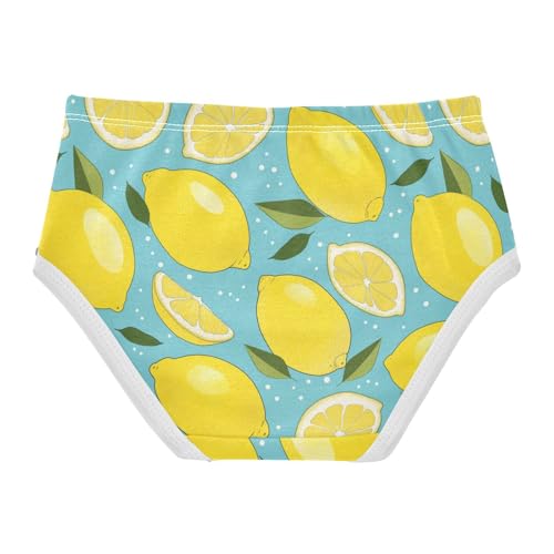 Wusikd Lemon Girls' Underwear Cotton Slices Mint Girls Briefs Soft Toddler Underwear 2T2