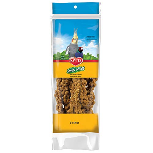 Image of Kaytee Spray Millet Treat for Pet Birds, 3 Ounce