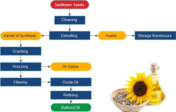 Image of Eywa Seeds & Exports Pvt Ltd Organic Sunflower Oil (1 Liter) Cold Pressed /Wood Pressed Oil|Surajmukhi /Sunflower Kachi Ghani Ka Tel By (Suhani) Eywa