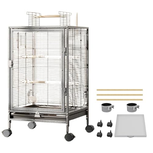  CR P[W  P[W ^  LX^[t  r ړ֗ V AN тȂ IEp ^ gbv_uhAƓVt ogCA𗬂X[Y 3{̎~܂؁AHAA~t()