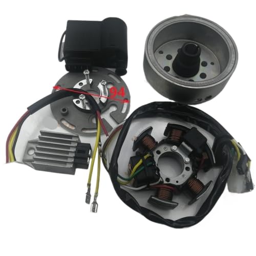 Bobinas de encendido de 12V para solucionar fallos de arranque en Ducati AM6 2