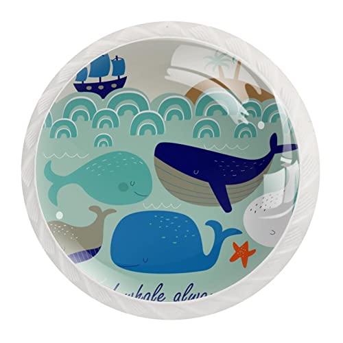 Boutons de commode baleine et étoile de mer en lot de 12 - 2