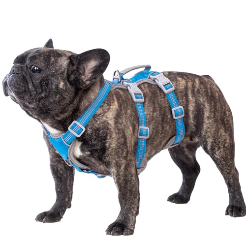 Image of Huntboo Escape Proof Dog Harness, Escape Artist Harness, Reflective Harness with Padded Handle, Breathable, Durable, Adjustable Vest for Medium Dogs Walking, Training, and Running Gear (Blue, M)