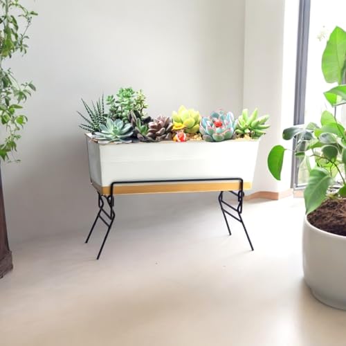 Image of ecofynd Joel Metal Planter Stand for Living Room, Plant Stand for Balcony, Flower Pot Holder for Indoor & Outdoor, Garden Rack for Patio Plants, Pack of 1, (Black)