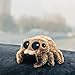Cute Jumping Spider Plush Toy, Salticidae Springspinnen Spider Stuffed Animals Soft Spider Plushie Dolls Birthday Gifts for Kids Fans Adults Children
