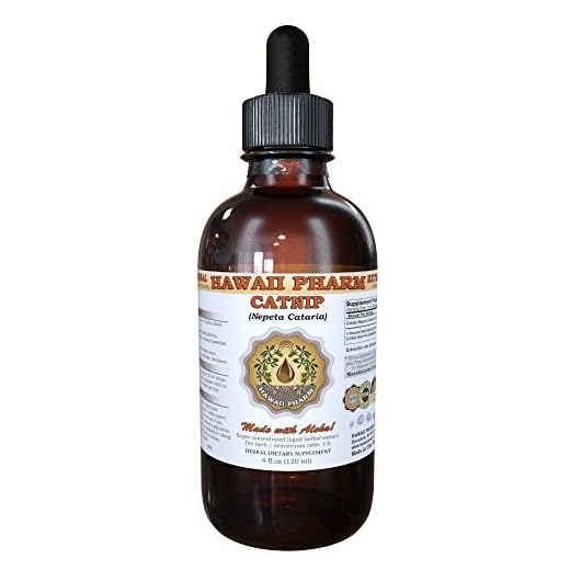 Catnip Liquid Extract, Organic Catnip (Nepeta Cataria) Tincture Supplement 4 oz