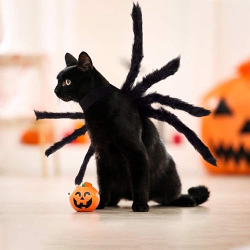 Xbessc Halloween Spinnen Kostüm Haustier, Filz Hundekostüm Spinnenkostüm, Katzen Urlaub Dekoration, Halloween Plüsch Spinne Kostüme für Kleine Bis Mittelgroße Hunde und Katzen Verstellbar Schwarz