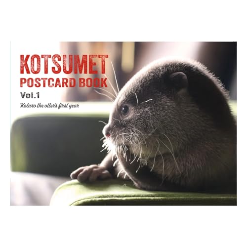 Livre de cartes postales Kotaro pour retrouver le plaisir d'écrire
