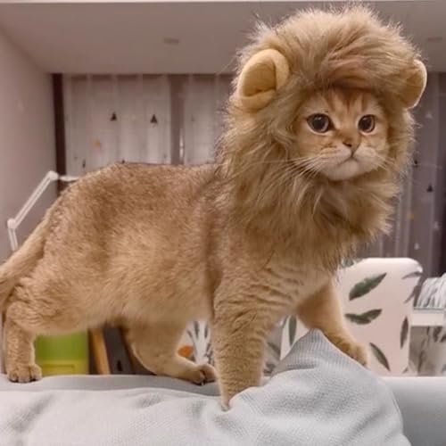 2 peças de orelhas de coelho de gato e peruca de juba de leão para fantasia de gato, chapéus de gato