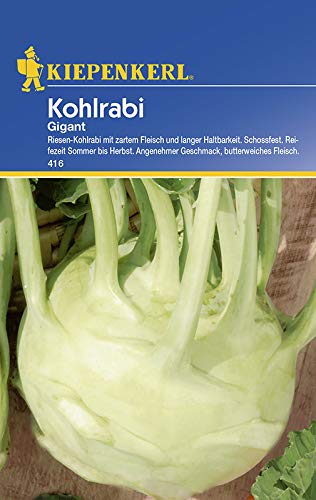 Preisvergleich Produktbild Kiepenkerl Kohlrabi Gigant