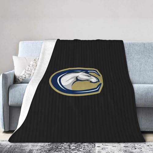 Uc Davis Aggies University Ultra-Soft Micro Fleece Blanket Soft Comfortable Flannel Blanket