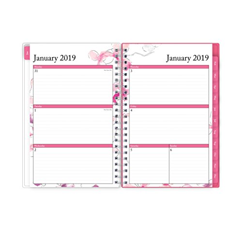Blue Sky Orchid Appointment Planner, 5" X 8" (111155) #TOP3