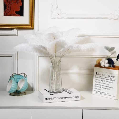 Holmgren White Ostrich Feathers Bulk - 20Pcs Making Kit 22 Inch Large Ostrich Feathers For Vase, Floral Arrangement, Wedding Party Centerpieces And Christmas Home Decorations (White) #TOP1